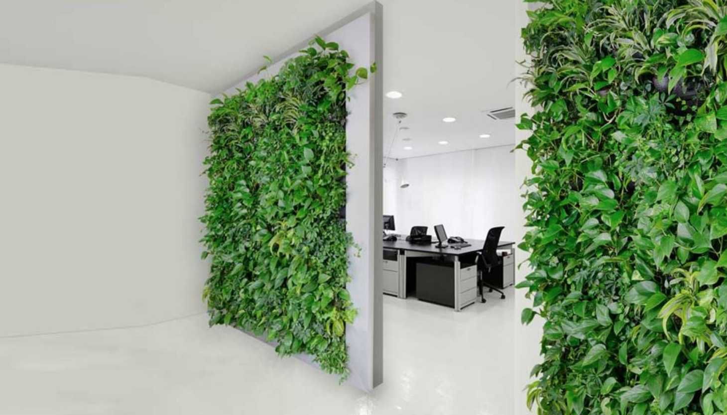 Искусственные растения на стену, вертикальное озеленение