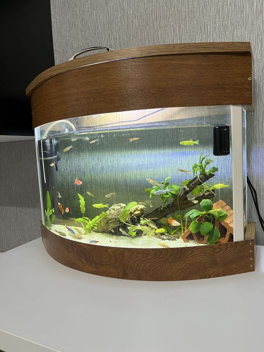 Vand acvariu complet