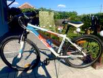 Bicicleta nakamura