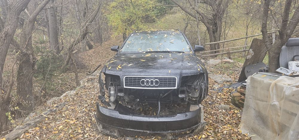 Interior scaune banchete fete usi Audi a4 b6