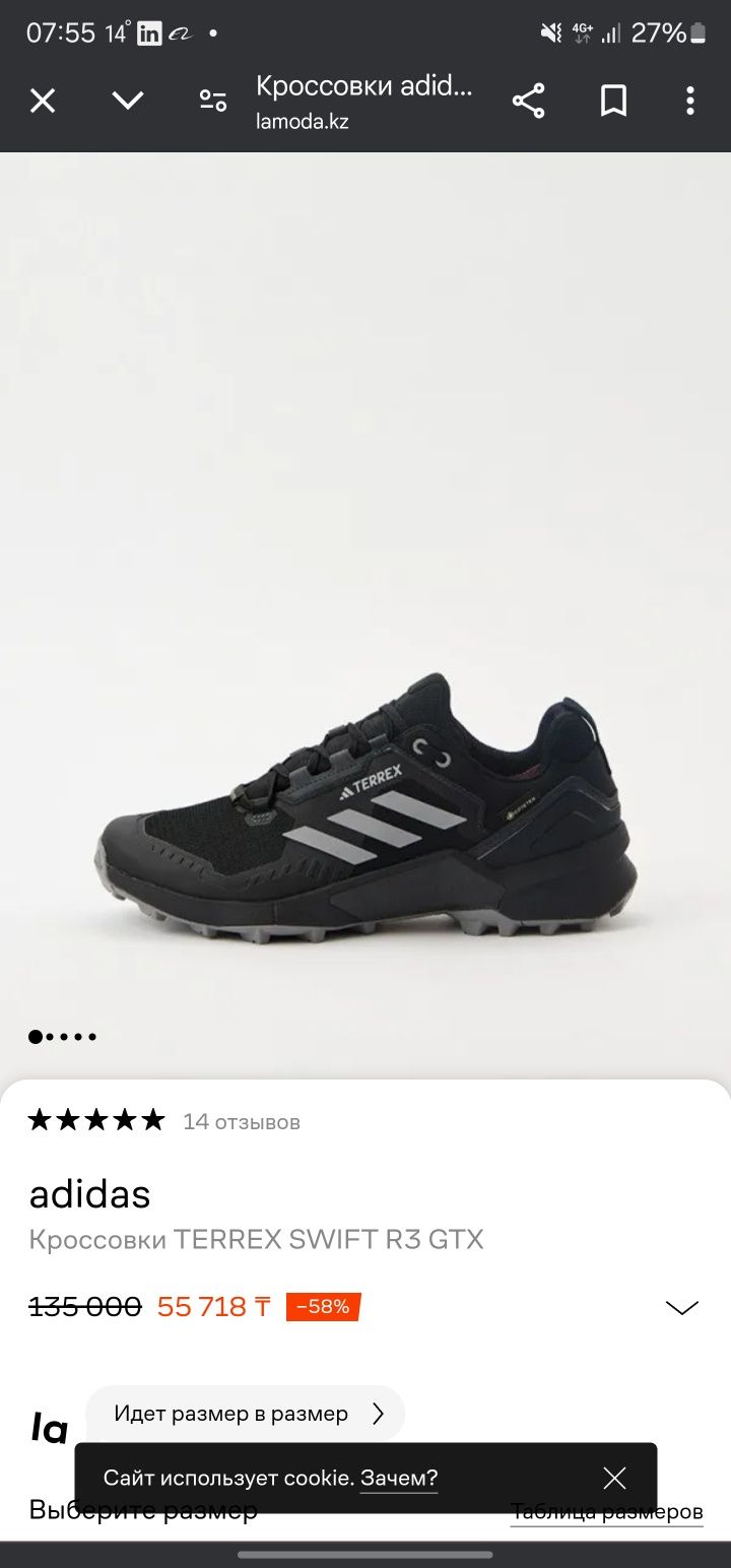 Adidas Terrex Swift R3 GTX для хайкинга
