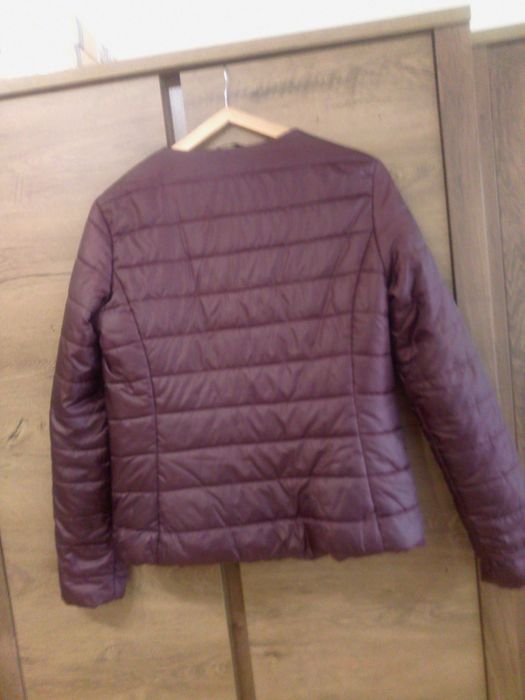 Пролетно яке Terranova  N:L