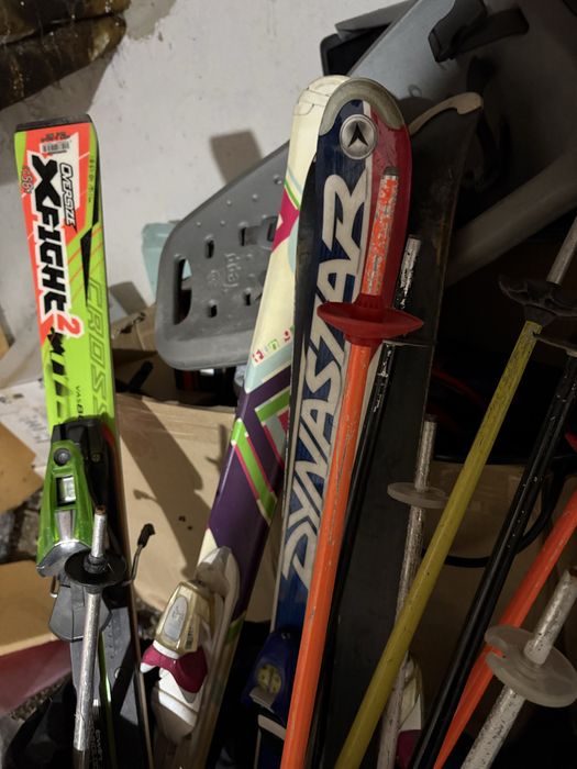 Schiuri adulti si copii