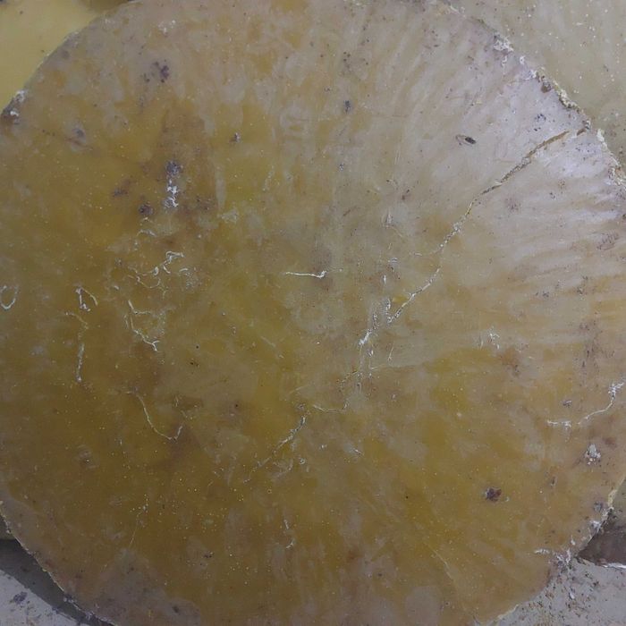 Ceara naturala albine