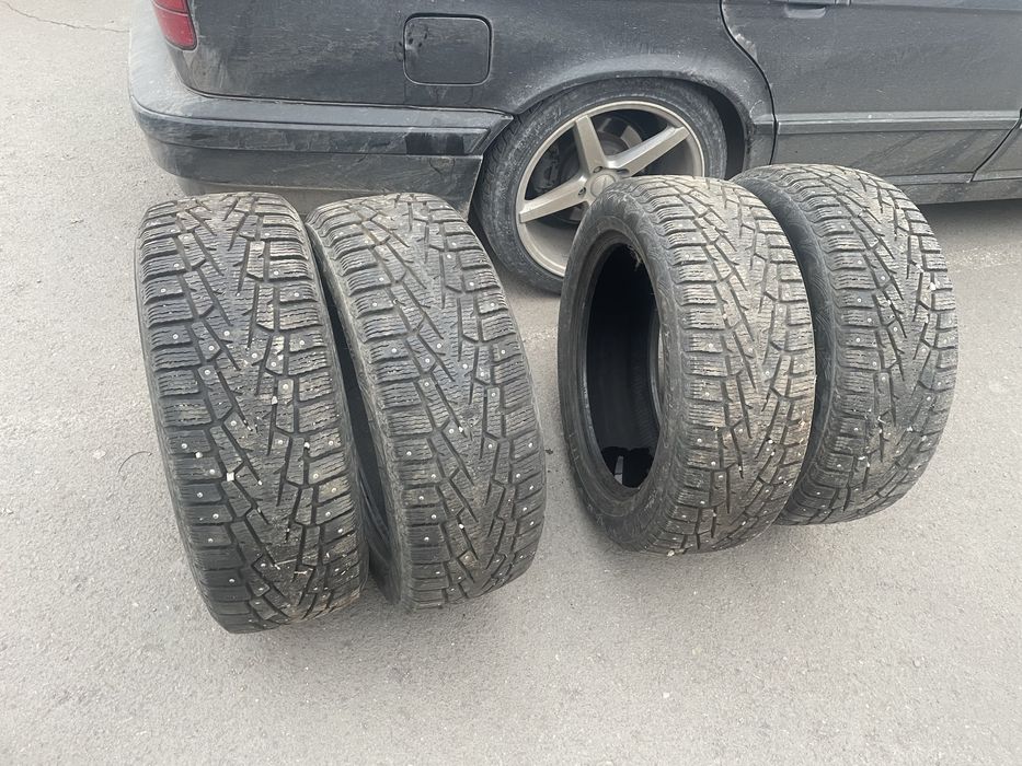 Шина зини шипы