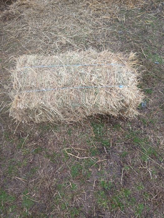 Vând lucernă cu fân