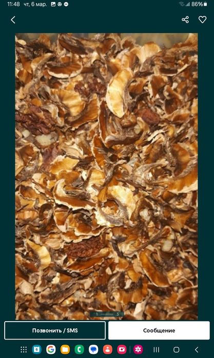 Перегородки и скорлупа от грецких орехов, свежие.