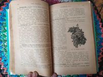 Антиквариат Книга о винограднике. Выпуск конец 1800  начала 1900 года.