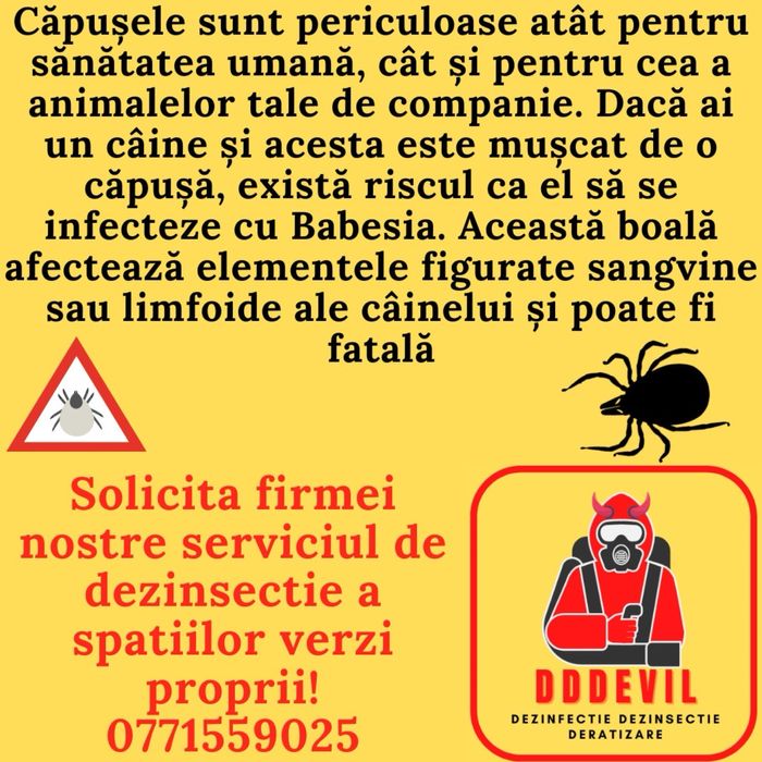 DDDEVIL Dezinsectie Dezinfectie Deratizare DDD