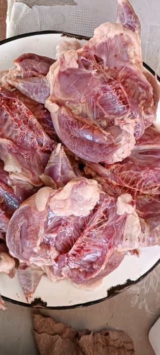 Продаётся домашнее мясо перепёлки .