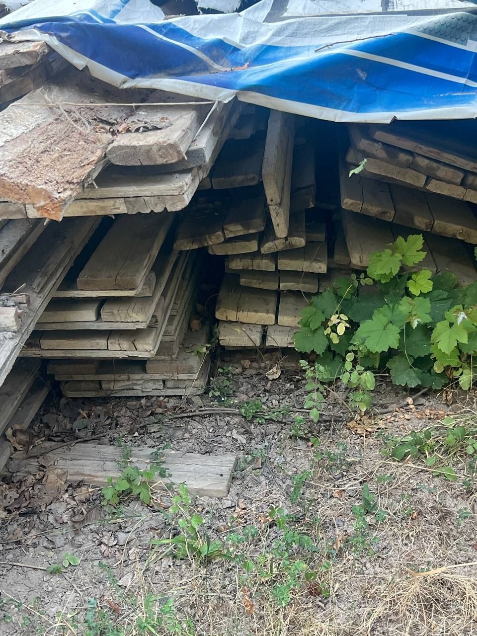 Продаётся опалубка финский фанеры