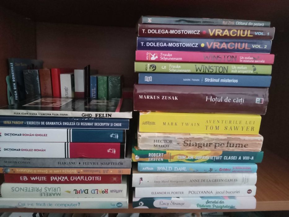 Lot carti 25 buc, lectura clasele 5-6