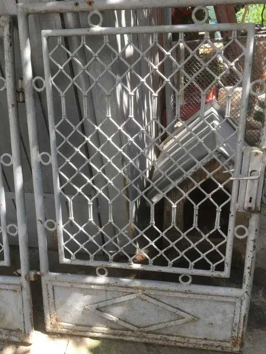 Gard metalic pentru fatada