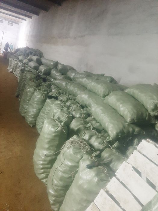 Картофель 150 тг