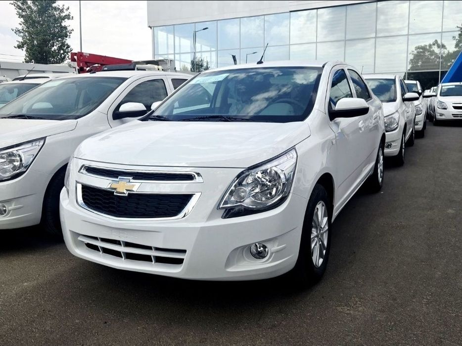 ‼️COBALT‼️Notarius bonus