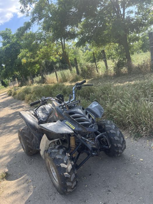 Atv Zongshen 250 4+1