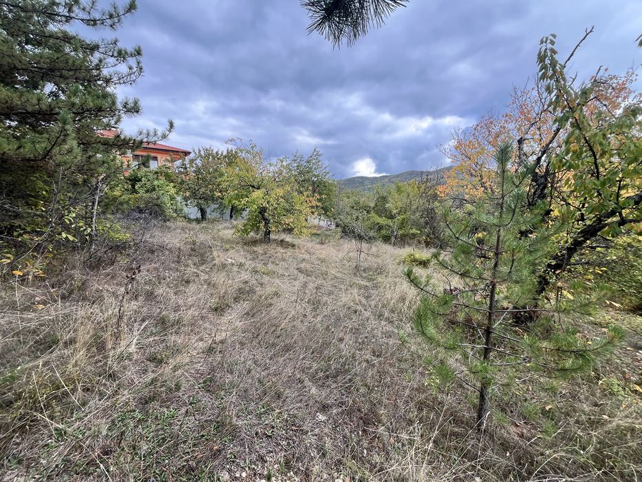 Дворно място……..