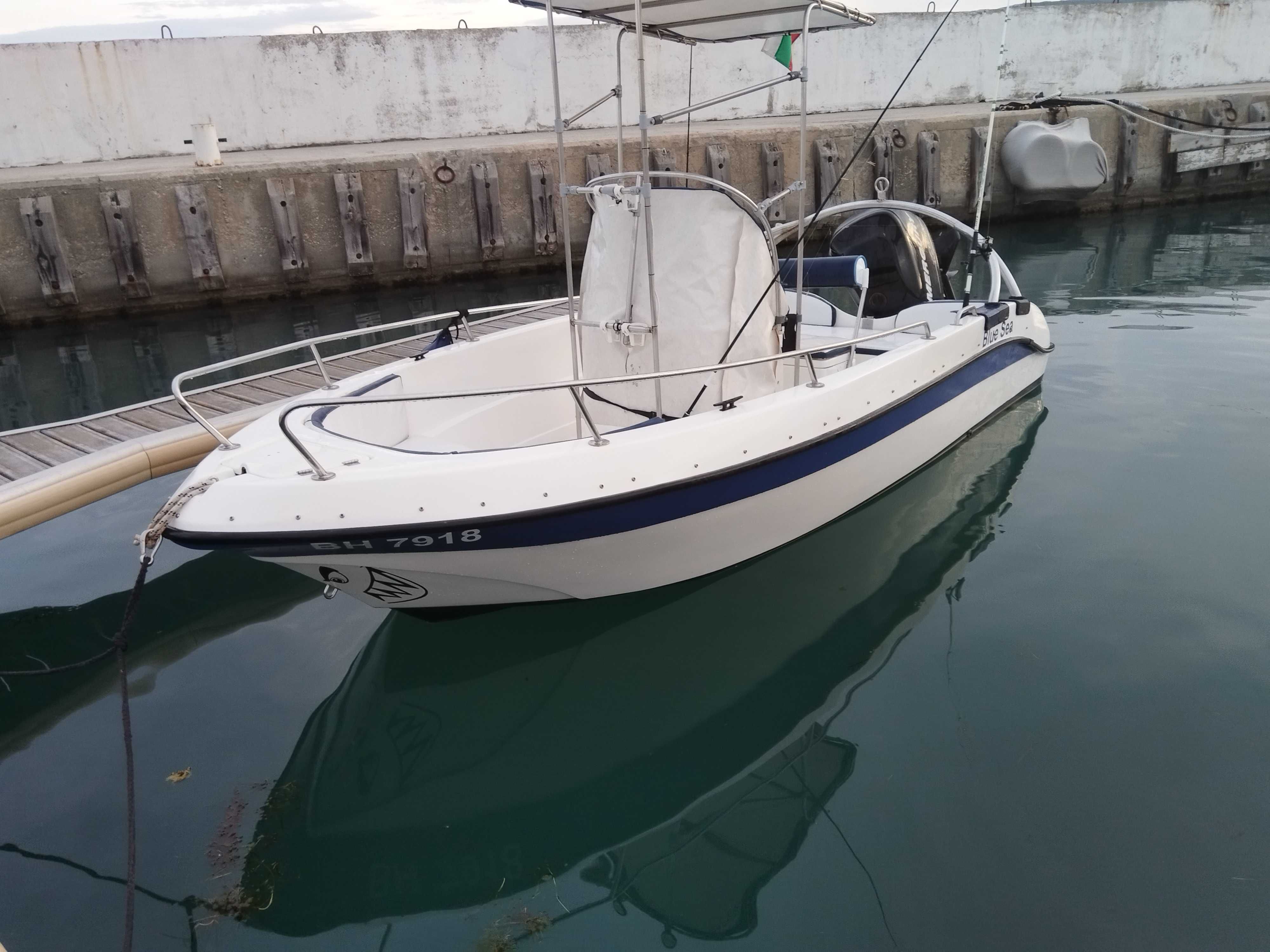 Лодка blue sea 4.90м 100кс mercury