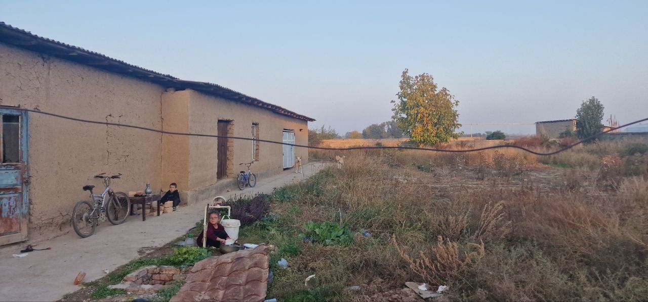 16 cotix tayyor uchastka