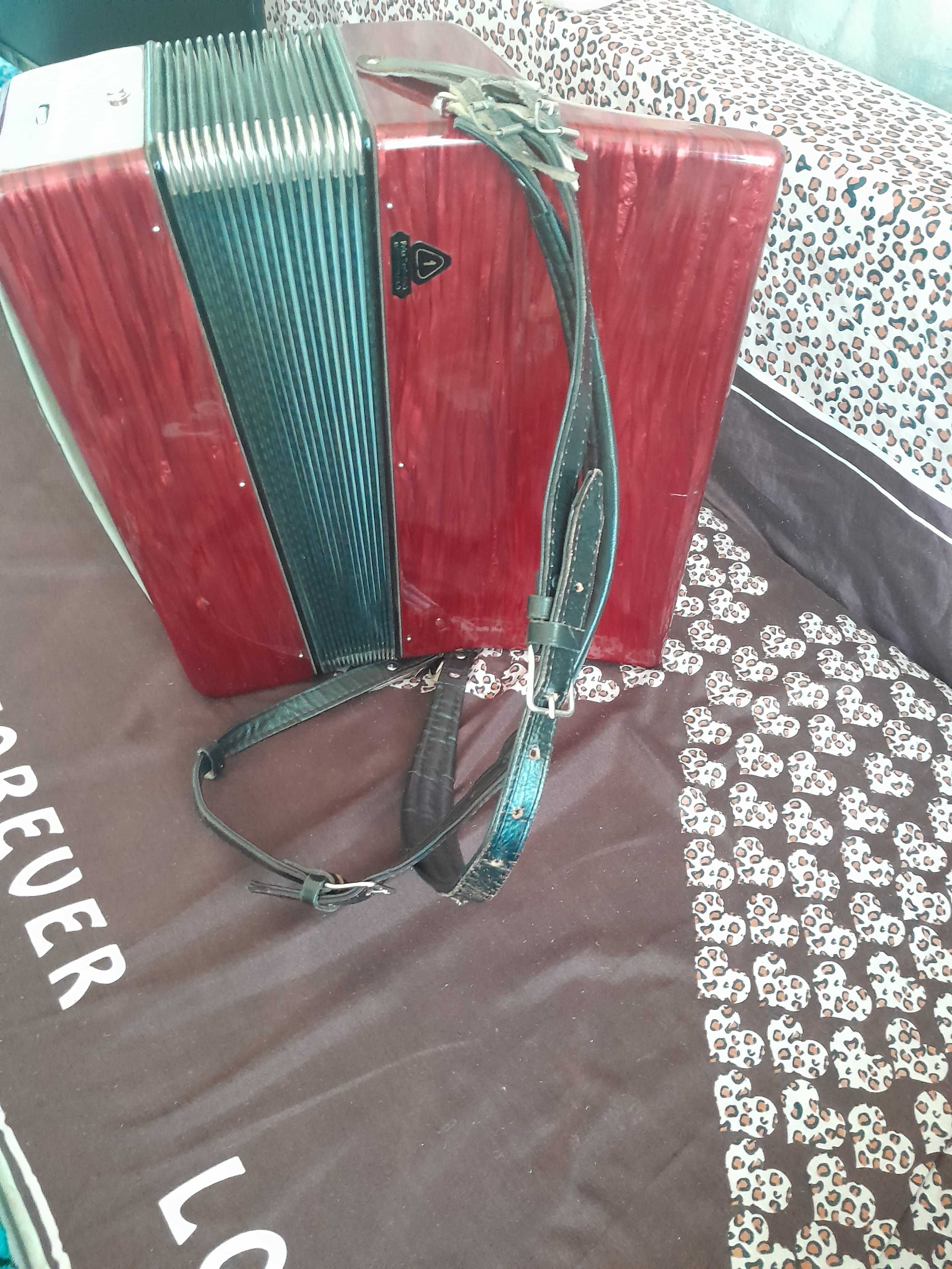 Acordeon firetti italian
