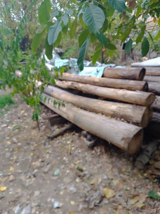 Терак -> Брёвна продается для стройки