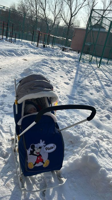 Санки ника Дисней