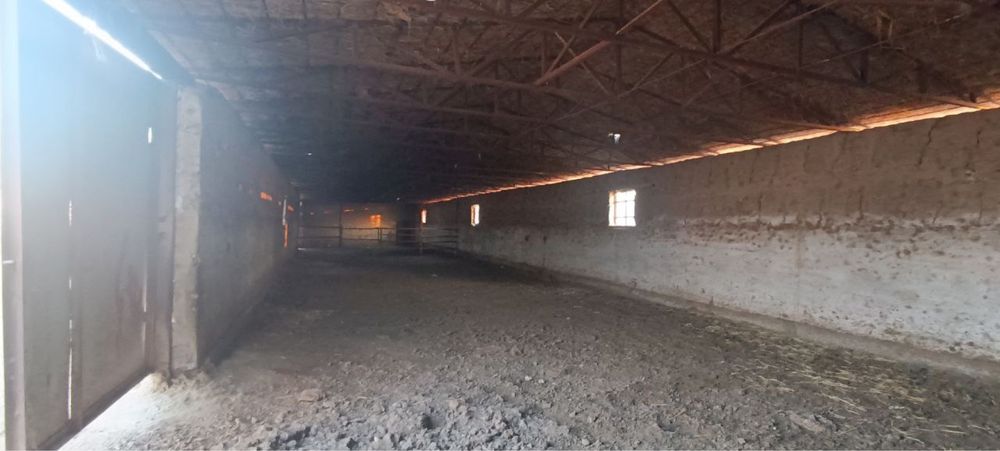 Чорвачиликга ихтисослашган фермахона бино иншоотлари сотилади