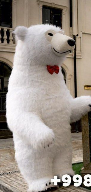 Белоснежный гигант  ищет нового хозяина 
Идеально подойдёт для анима