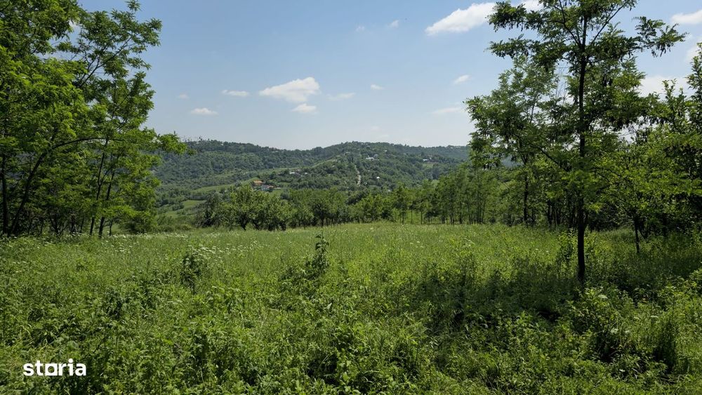 Teren de vânzare – 6.352 mp – Slavu (Prahova), cu vedere superbă