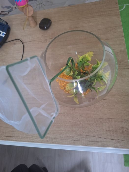 Accesorii pentru pesti(bol de sticla,plasa ,planta decorativa,margele]