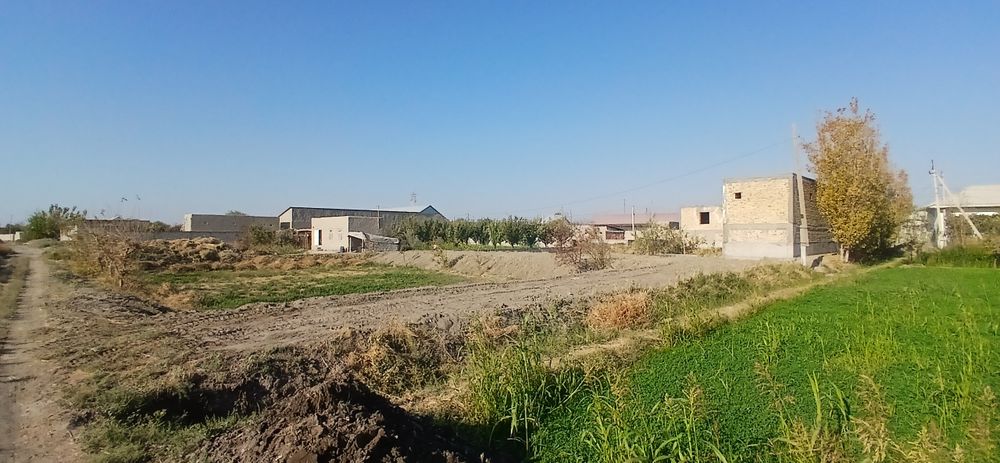 Хаммасига гарантийа