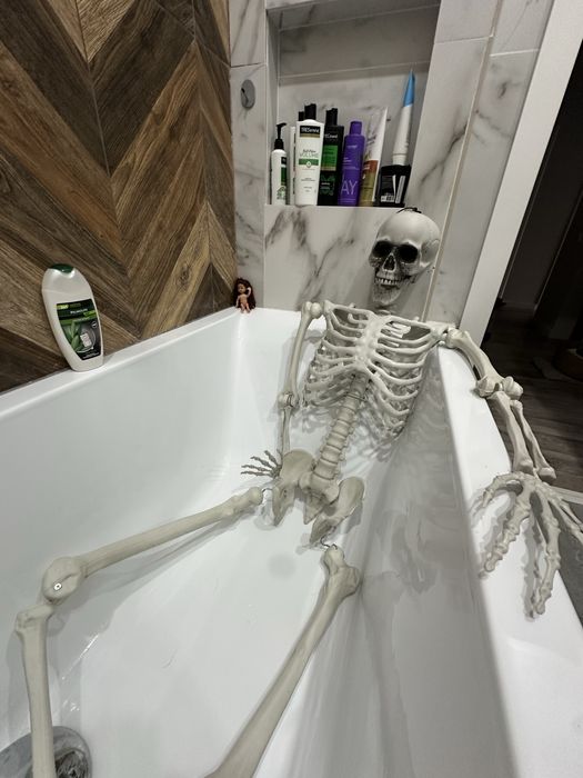 Продам декоративный скелет, рост ок 160