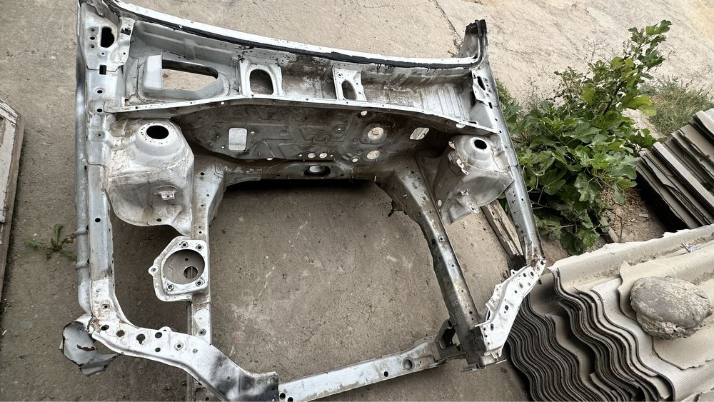 Lasetti moʻrda jentraemas balka qotadiga joylari zoʻr.