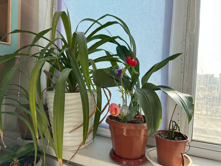 Подставка цветы  и цветы