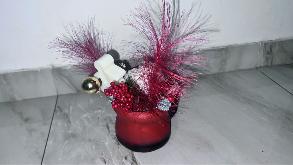 Aranjamente Craciun , ceara soia