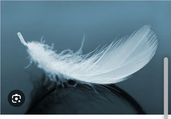 Приму пух,перо,перины подушки