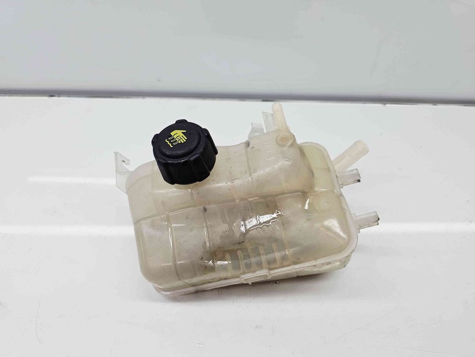 Vas expansiune Renault Megane 3 (B95) [Fabr 2008-2016] 217100005R