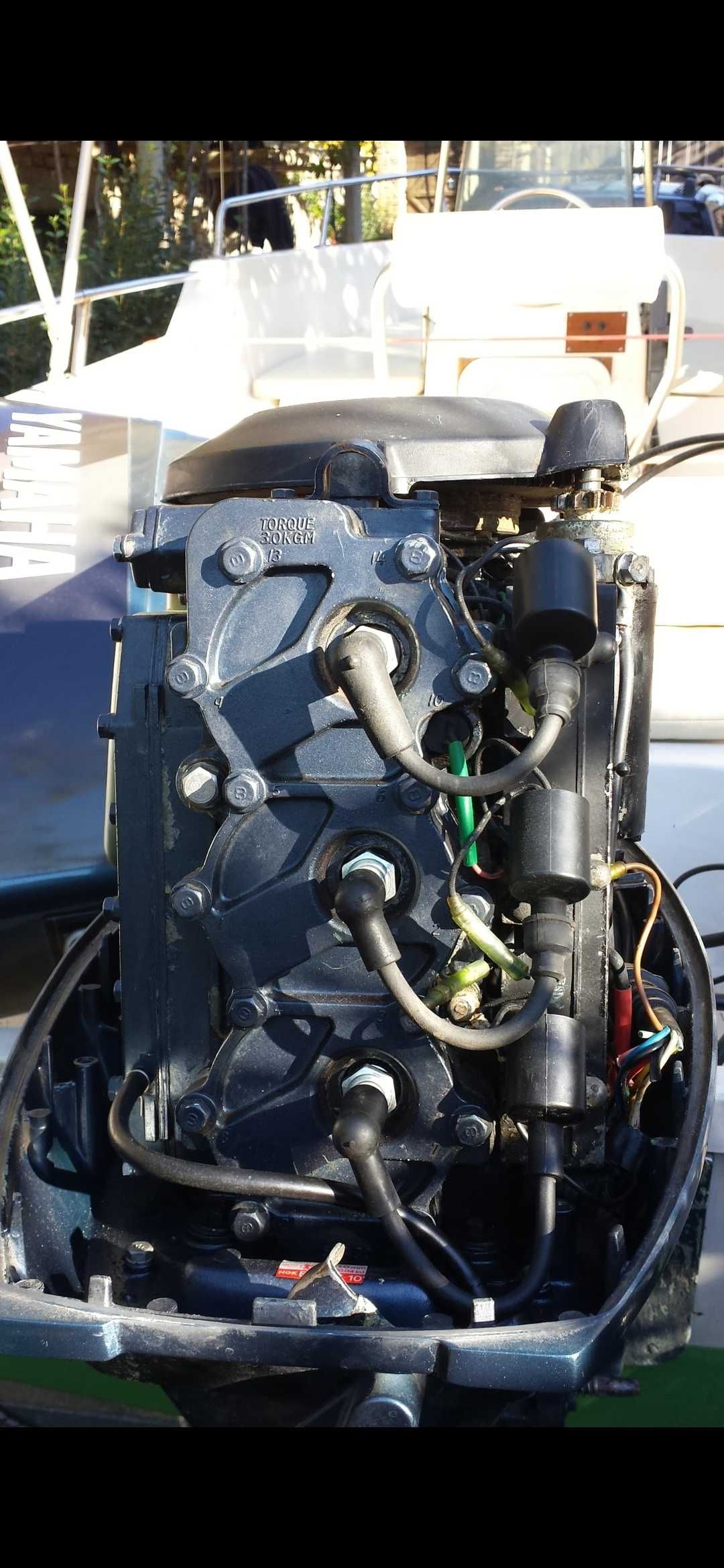 Yamaha Y 25 дължина 5,20m
