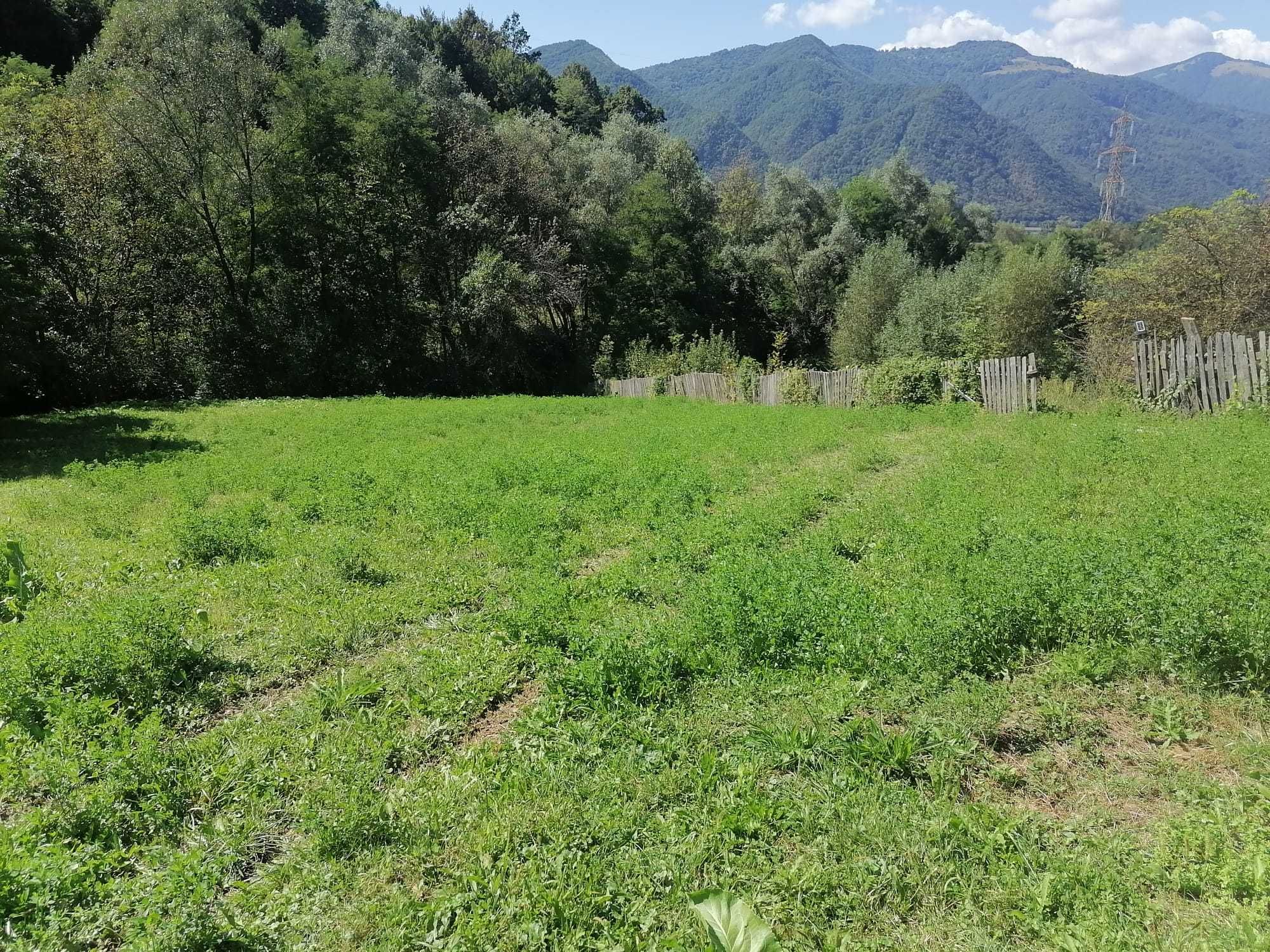 Nou!! Casa + anexe si 2100mp teren in comuna Racovita, VL