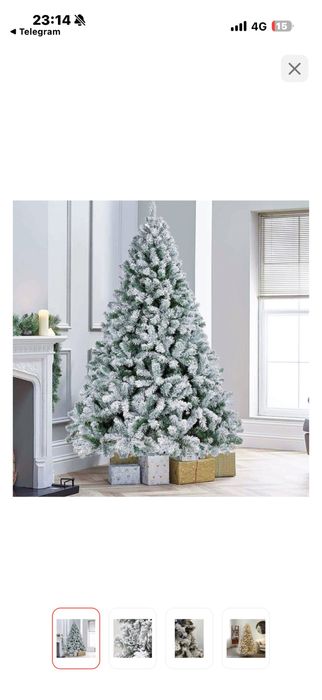 Шыршаа  240 бойы