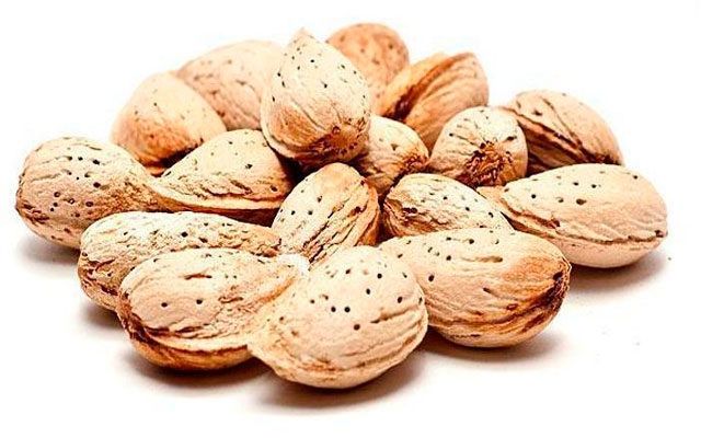 Мевали дарахт кўчатлари Каттақўрғон