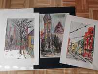 Tablouri Pictor Timisoara Banat 420 Aquarele Patera Robert/Trebor