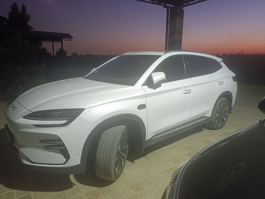Byd Champion smart drive
