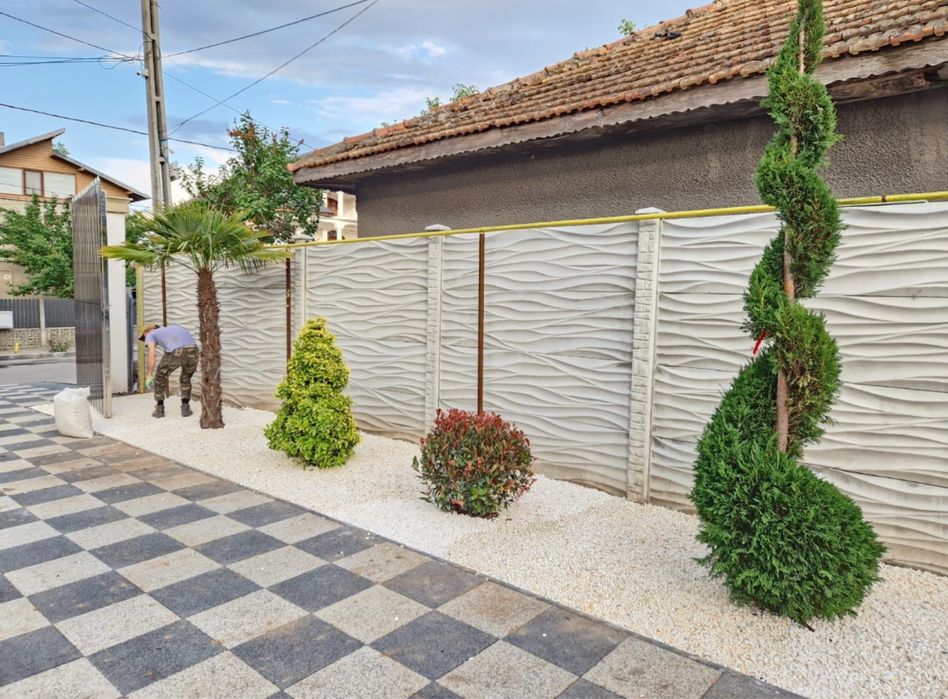 Vindem plante ornamentale copaci oriunde in tara