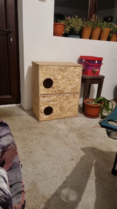 Cuibare rațe sălbatice