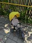 Vand tricicleta Coccolle Velo