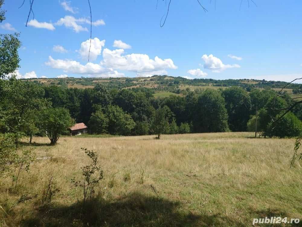 Teren 3 hectare livada, arabil, fanete cu potential de valorificare
