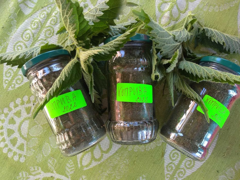 Детегледачка / домашна помощница