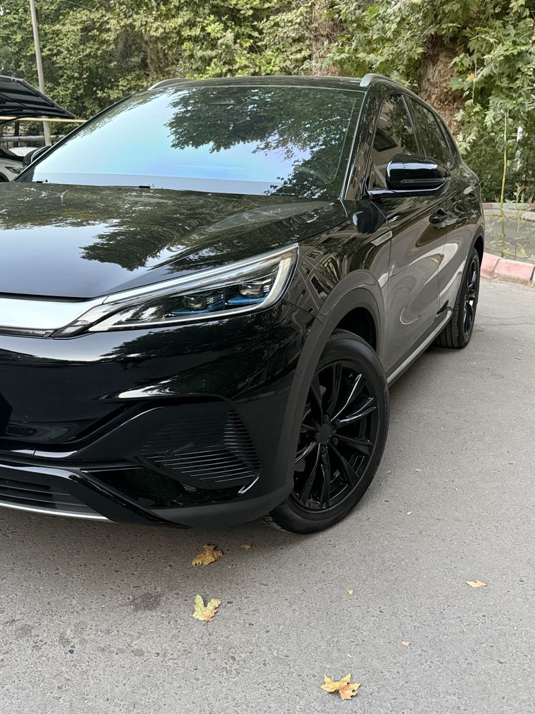 Byd Yuan Plus (2024) black edition