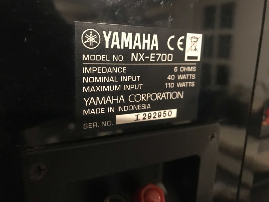 Yamaha NX-E700 boxe
